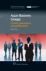 Asian Business Groups : Context, Governance and Performance - eBook