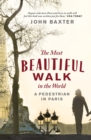 The Most Beautiful Walk in the World : A Pedestrian in Paris - eBook