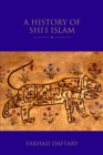 A History of Shi'i Islam - Book