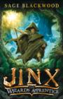 Jinx: The Wizard's Apprentice : Book 1 - eBook