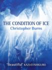 The Condition of Ice - eBook