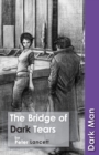 The Bridge of Dark Tears - eBook