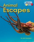 Animal Escapes - Book
