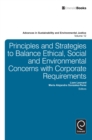 Principles and Strategies to Balance Ethical, Social and Environmental Concerns with Corporate Requirements - eBook