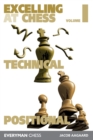 Excelling at Chess Volume 1 : Technical and Positional Chess - Book