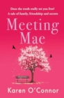 Meeting Mae - Book