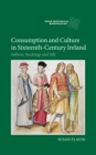 Consumption and Culture in Sixteenth-Century Ireland : Saffron, Stockings and Silk - eBook