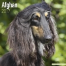 Afghan Calendar 2017 - Book