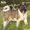 Akita Calendar 2017 - Book