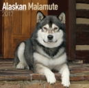 Alaskan Malamute Calendar 2017 - Book