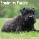 Bouvier des Flandres Calendar 2017 - Book