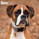Boxer Calendar 2017 - Book