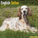 English Setter Calendar 2017 - Book