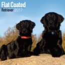 Flat Coated Retriever Calendar 2017 - Book
