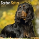 Gordon Setter Calendar 2017 - Book