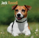 Jack Russell Calendar 2017 - Book