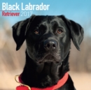 Black Labrador Retriever Calendar 2017 - Book