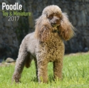 Poodle Toy & Miniature Calendar 2017 - Book