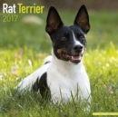 Rat Terrier Calendar 2017 - Book