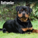 Rottweiler Calendar 2017 - Book