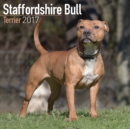 Staffordshire Bull Terrier Calendar 2017 - Book