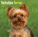 Yorkshire Terrier Calendar 2017 - Book