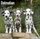 Dalmatian Puppies Calendar 2017 - Book
