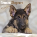 German Shepherd Puppies Calendar 2017 - Book
