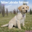 Yellow Labrador Retriever Puppies Calendar 2017 - Book