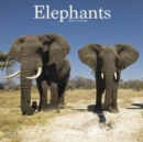 Elephants Calendar 2017 - Book