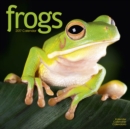 Frogs Calendar 2017 - Book