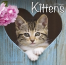 Kittens Calendar 2017 - Book