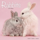 Rabbits Calendar 2017 - Book