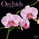 Orchids Calendar 2017 - Book