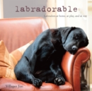 Labradorable : Labradors at Home, at Large, and at Play - Book