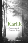 Karlik : Encounters with Elemental Beings - eBook