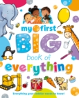 My First Big Book of Everything - Book