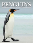 Penguins : Stunning Photographs of the World's Favourite Seabird - Book