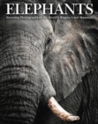 Elephants : Stunning Photographs of the World's Biggest Land Mammals - Book