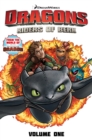 Dragons Riders of Berk: Tales from Berk - Book
