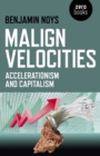 Malign Velocities : Accelerationism and Capitalism - eBook