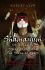 Shamanism for Teenagers, Young Adults and The Young At Heart : Shamanic Practice Made Easy For The Newest Generations - eBook