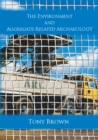 The Environment and Aggregate-Related Archaeology - eBook