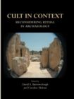 Cult in Context : Reconsidering Ritual in Archaeology - eBook