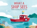What a Ship Sees : A Fold-out Journey Across the Ocean - Book