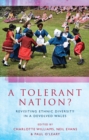 A Tolerant Nation? : Exploring Ethnic Diversity in Wales - eBook