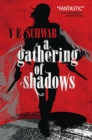 A Gathering of Shadows - Book
