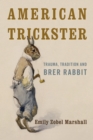 American Trickster : Trauma, Tradition and Brer Rabbit - eBook