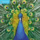 Peacocks Wall Calendar 2017 - Book