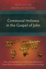 Communal Holiness in the Gospel of John : The Vine Metaphor as a Test Case with Lessons from African Hospitality and Trinitarian Theology - eBook